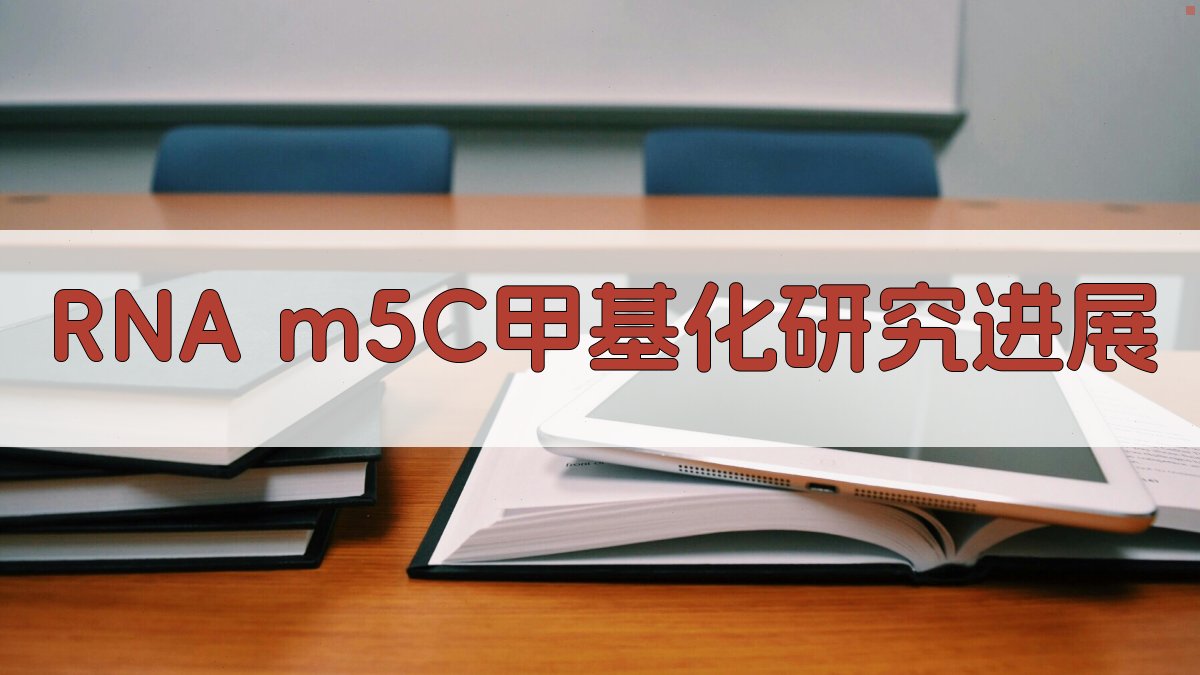 RNA m5C甲基化研究进展